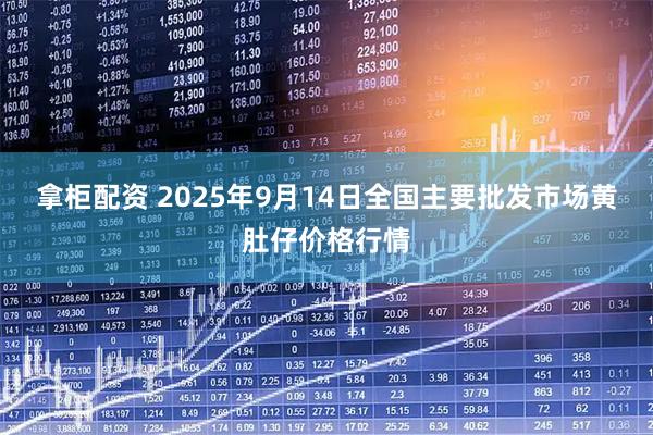 拿柜配资 2025年9月14日全国主要批发市场黄肚仔价格行情