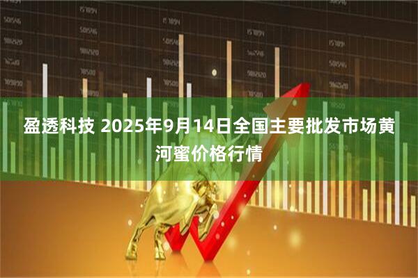 盈透科技 2025年9月14日全国主要批发市场黄河蜜价格行情