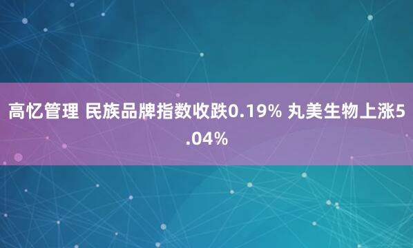 高忆管理 民族品牌指数收跌0.19% 丸美生物上涨5.04%