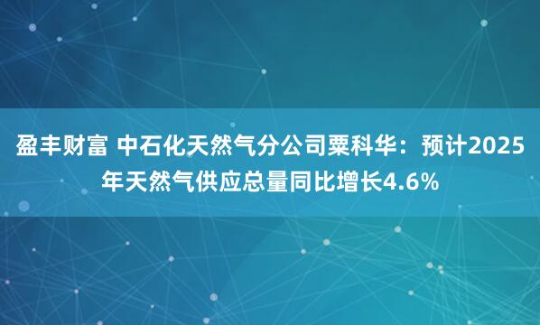 盈丰财富 中石化天然气分公司粟科华：预计2025年天然气供应总量同比增长4.6%